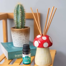 Mushroom Reed Diffuser