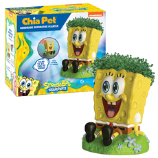 Chia Pet Sponge Bob