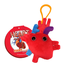 Heart (Heart Organ) Key Chain