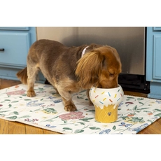 Ice Cream Elevated Pet Bowl