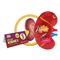 Deluxe Kidney