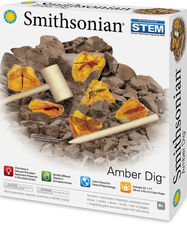 Smithsonian Amber Dig