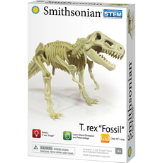 Smithsonian Dinosaur Fossils Trex Value Set 