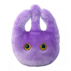 Stomach Cell